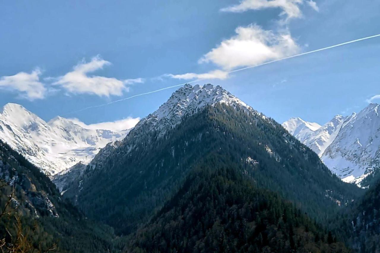 Galeria Turismului Montan Affittacamere Cîrţişoara Esterno foto
