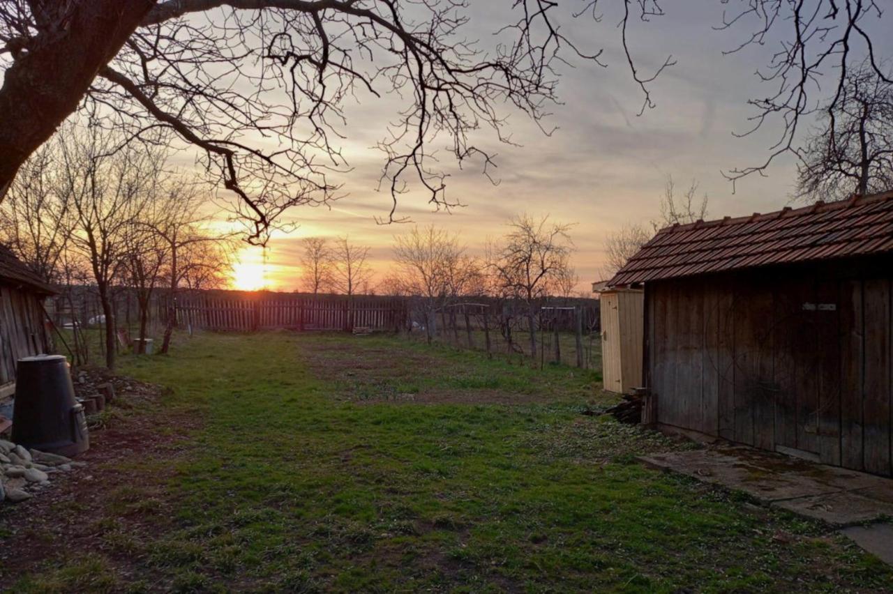 Galeria Turismului Montan Affittacamere Cîrţişoara Esterno foto