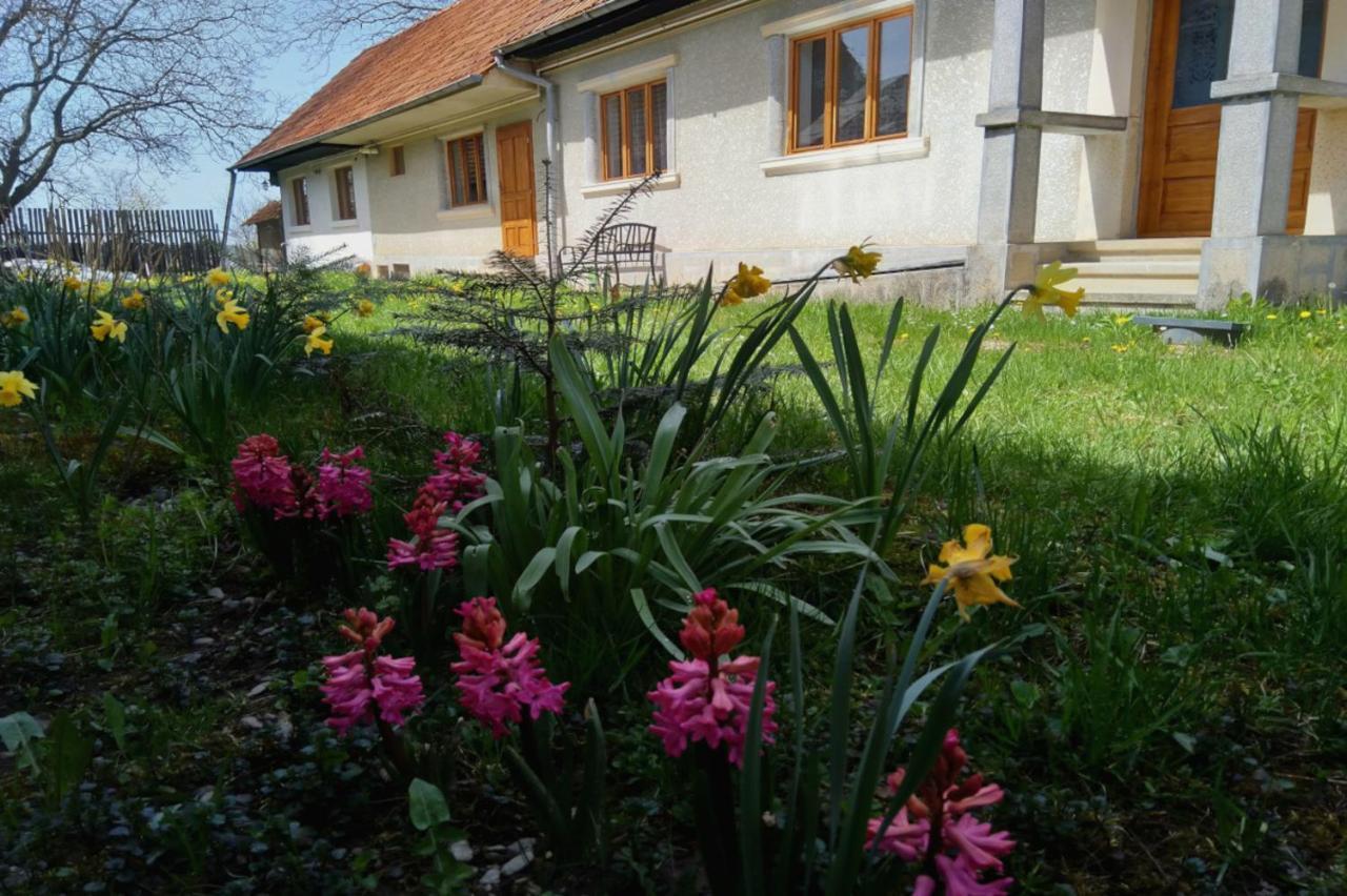 Galeria Turismului Montan Affittacamere Cîrţişoara Esterno foto